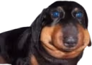 Erm emote