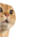 dadadadadada emote