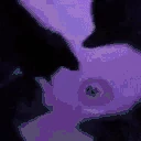 catParty emote