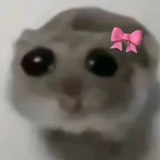 hamstermeme emote