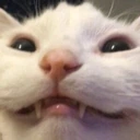 CE_Smile3 emote