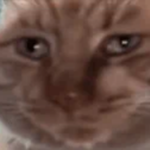 opieoupe avatar