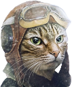 PilotCat static emote