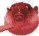 Puffer_Valid emote
