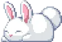 bunny emote