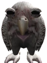 Cute_Wet_Owl emote