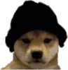 BeanieDog emote