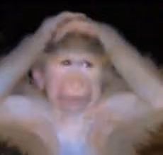 monkey_hand emote