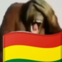 Bolivia emote