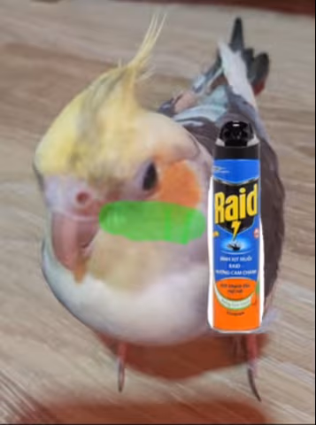 disguting emote