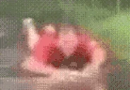 heDrowning emote