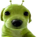 glerp emote