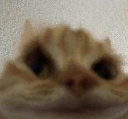 hmmkat emote