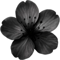 Blacksakuraflower emote