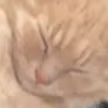 coockies emote