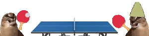 FloppaPong emoji