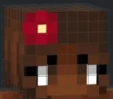 MinecraftSkin emote