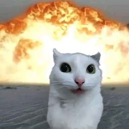 shadadada avatar