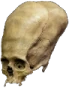 skull_longhead emote