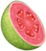 melon_fruit emote