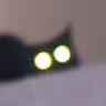catglowstare emote