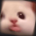 blaSpinCrazy animated emote