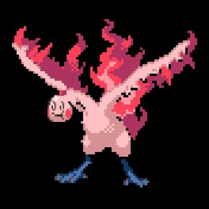 chadthadd avatar