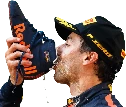 DR3_shoey emote