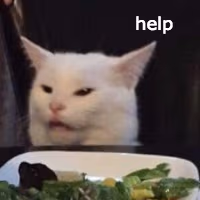salad_cat_what emote