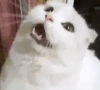 Stunned emote