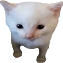 Herbert emote