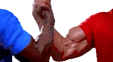 Handshake emote