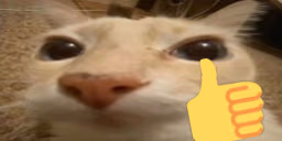 otagOK emote