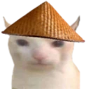 cnCat emote