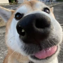 opa emote