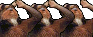 LETSGOBB emote