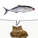 catsittingandthinkingaboutasingularfish emote