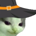 MEOWDY emote