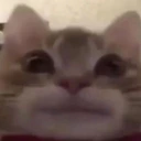 CE_DidNotLaf emote