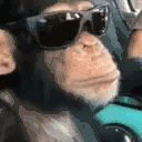 monkeyJAM emote