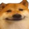 doge_face emote