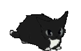 maxwellJam emote