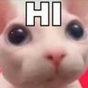 bingushi emote