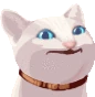 DGF_CatPop emote