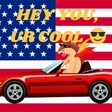 TyphloCOOL static emote