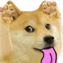 DogeSilly emote