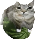 watermelon emote