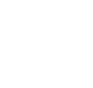 100_white emote