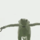 kermit emote
