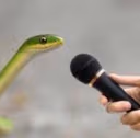 Snakespeak emote